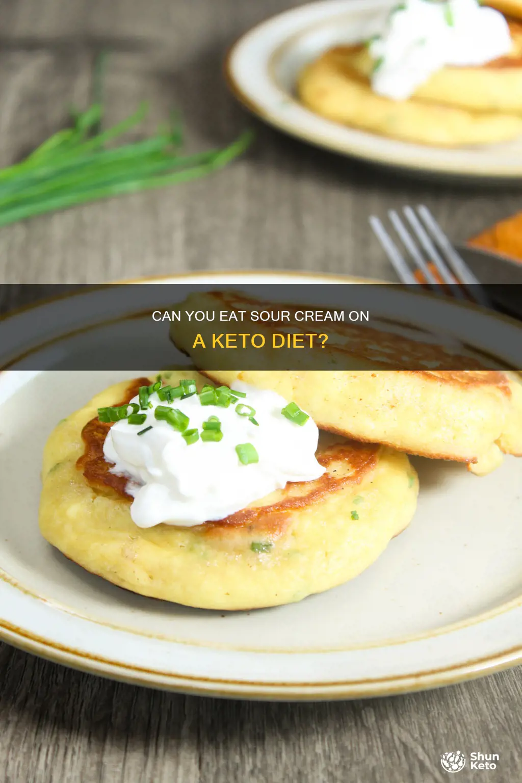 is sour cream allowed on ketogenic diet