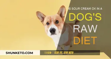 Can Dogs Eat Sour Cream? A Raw Diet Insight