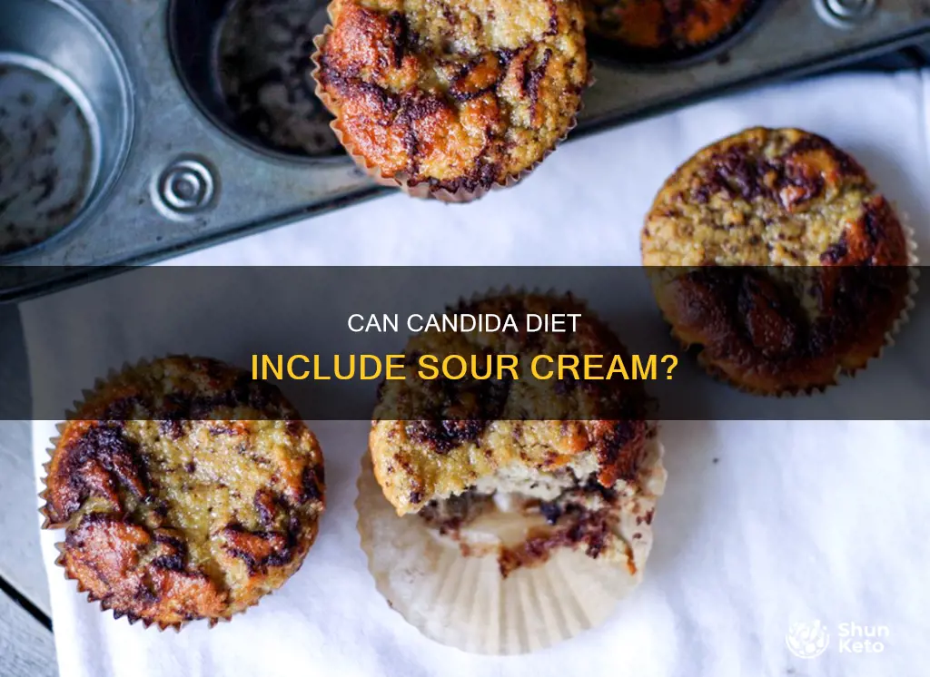 is sour cream ok on candida diet