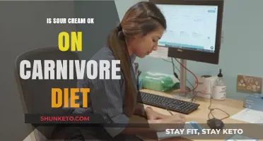 Sour Cream on Carnivore Diet: Yay or Nay?