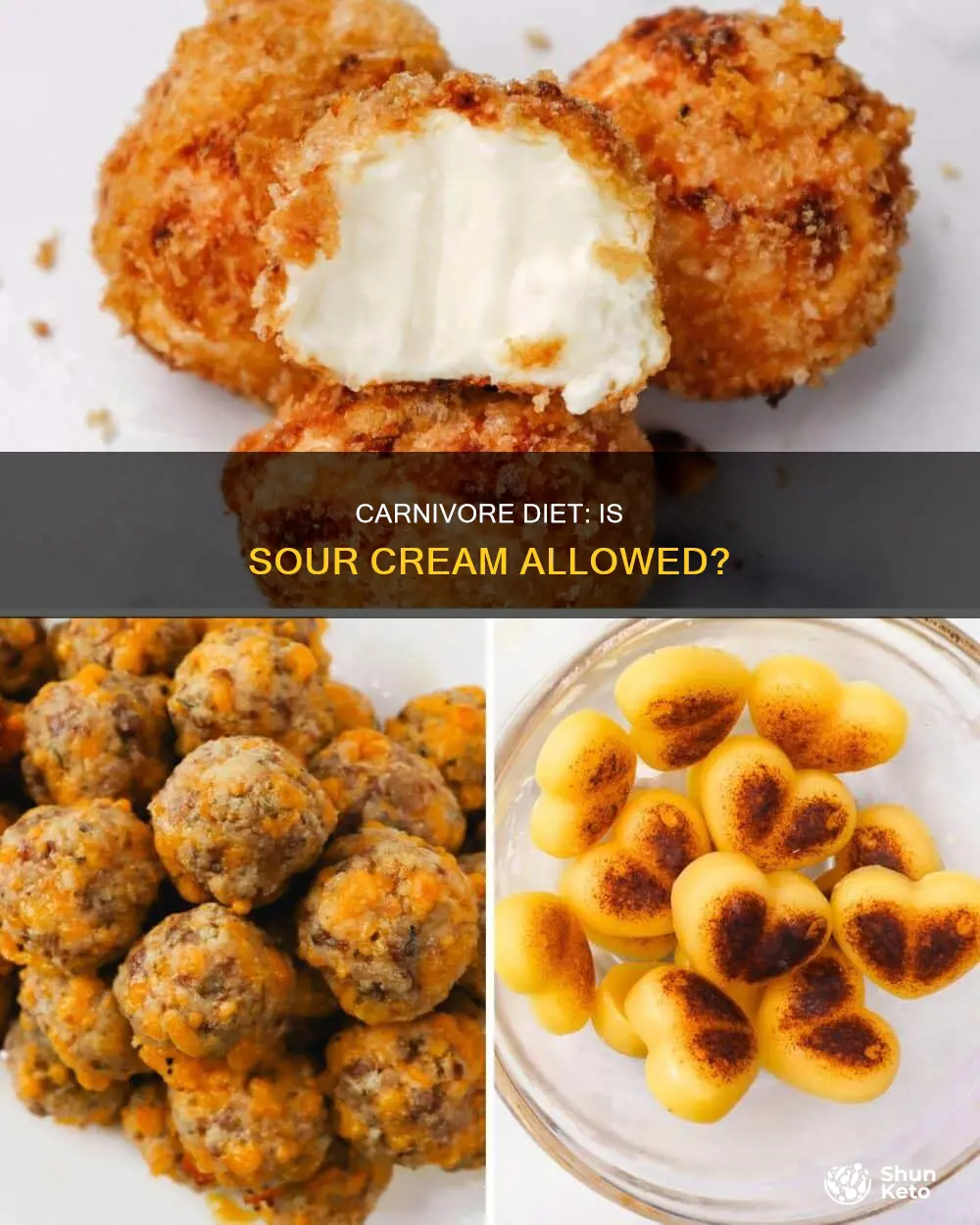is sour cream on the carnivore diet
