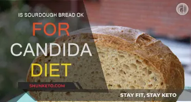 Sourdough and Candida Diet: What You Need to Know