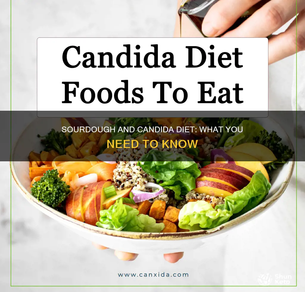 is sourdough bread ok for candida diet