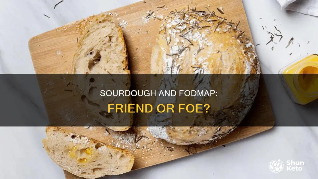 is sourdough ok on fodmap diet