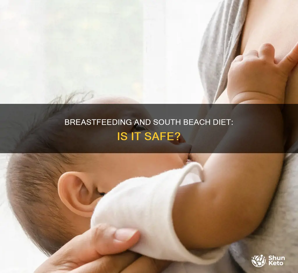 is south beach diet safe for breastfeeding