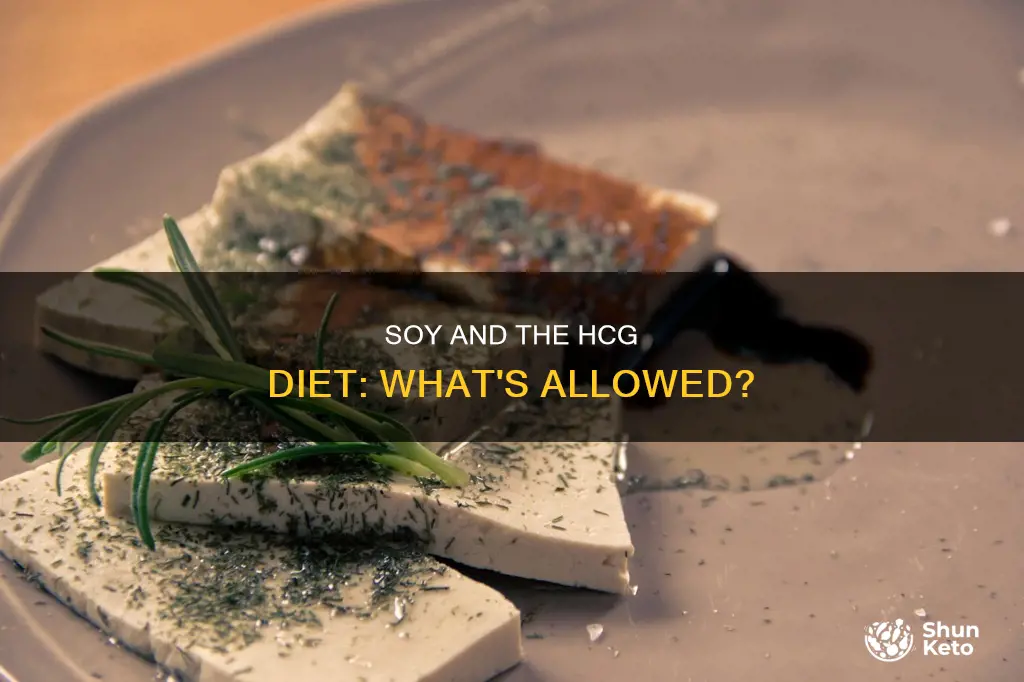 is soy allowed on the hcg diet