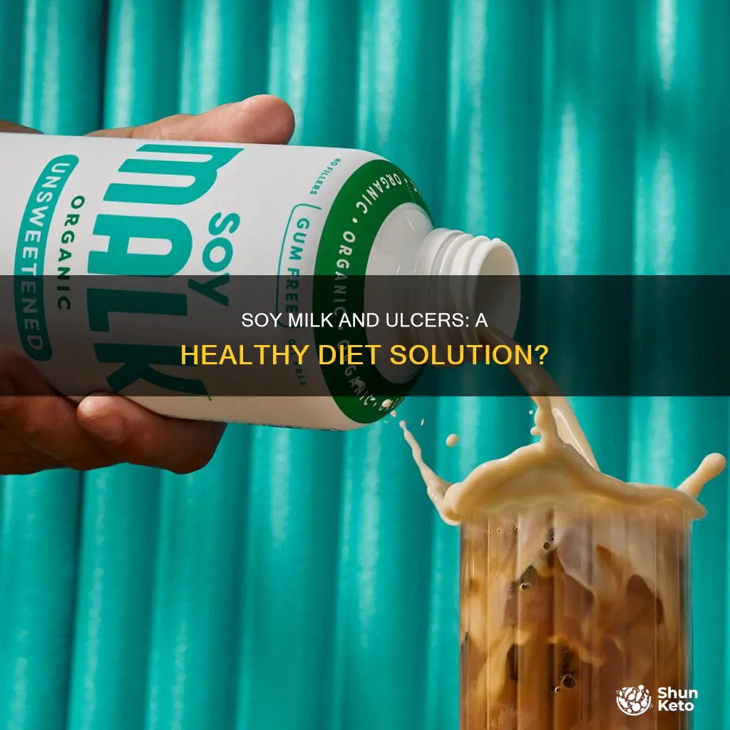 is soy milk ok on an ulcer diet
