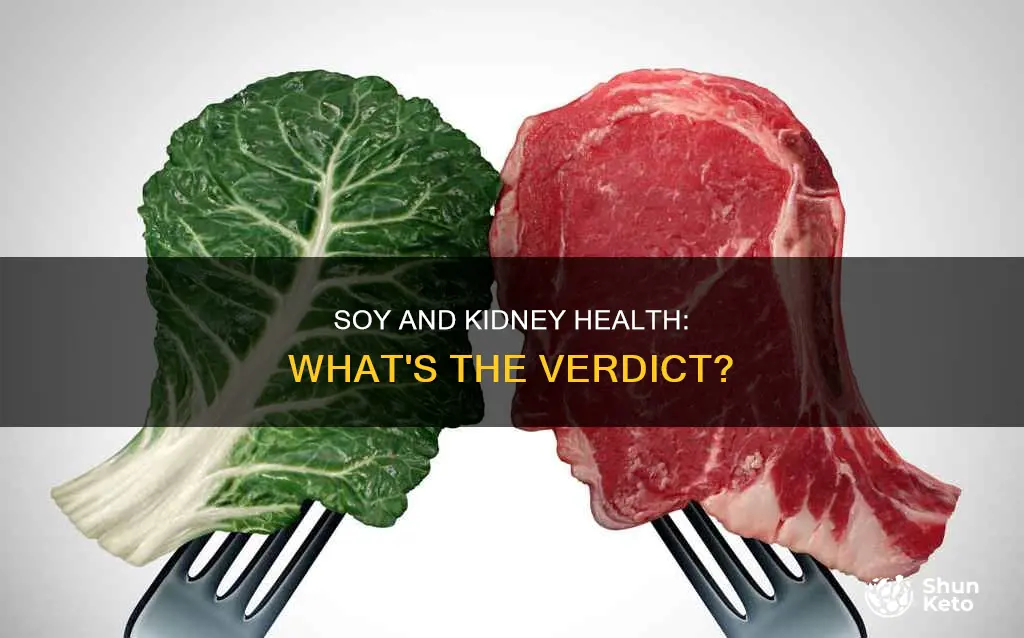 is soy ok for renal diet