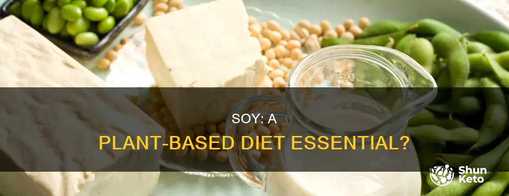 is soy part of a plant based diet