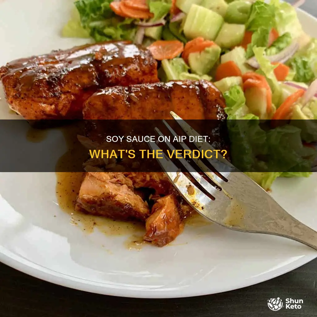 is soy sauce allowed on aip diet
