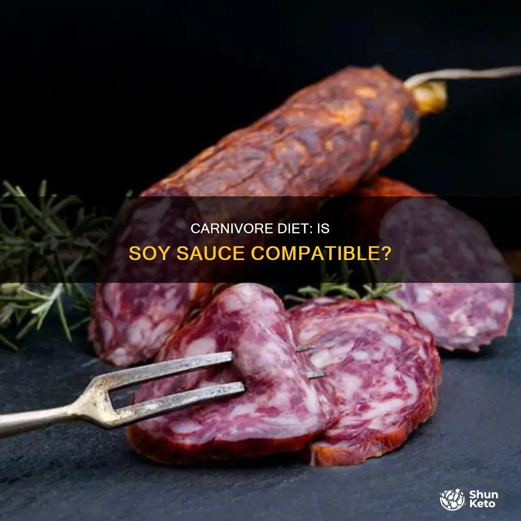 is soy sauce ok for carnivore diet