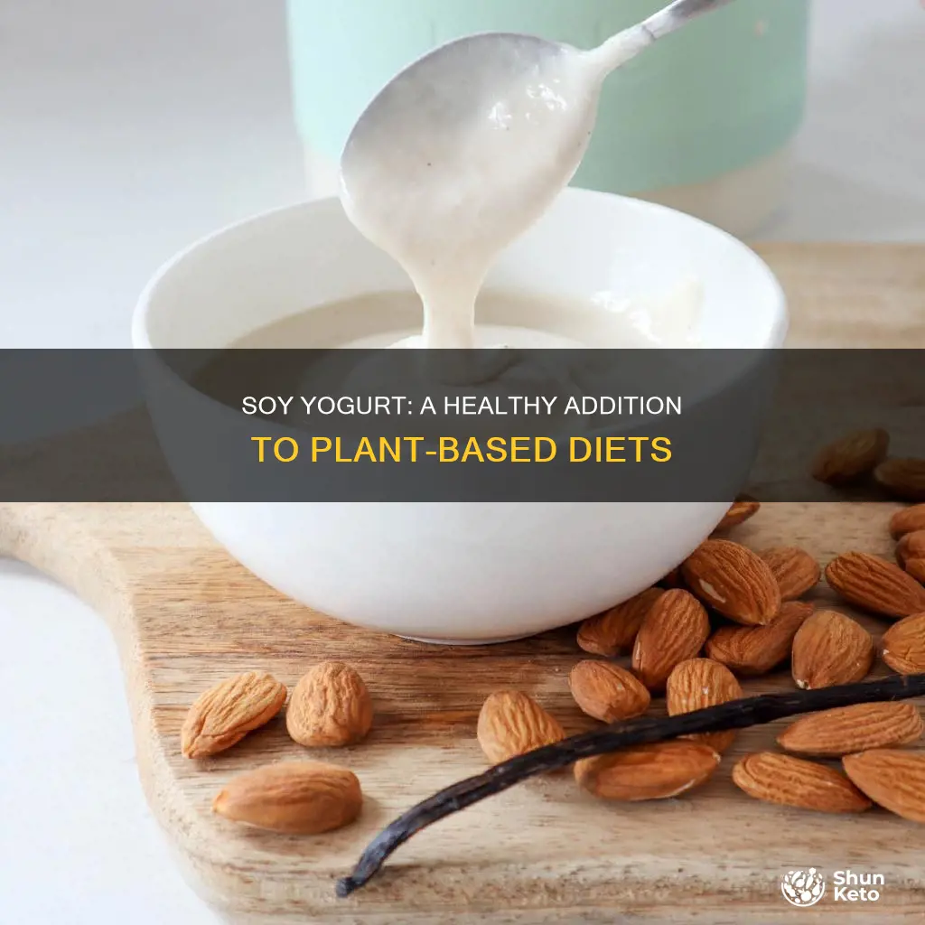 is soy yogurt ok on plant based diet