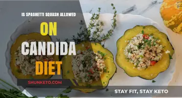 Squash Spaghetti on Candida Diet: Yay or Nay?