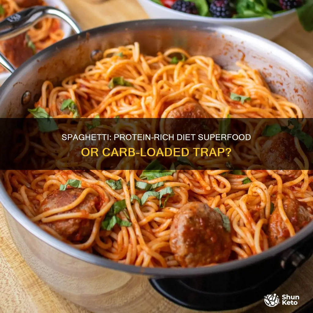 is spaghettibarfor protein diet