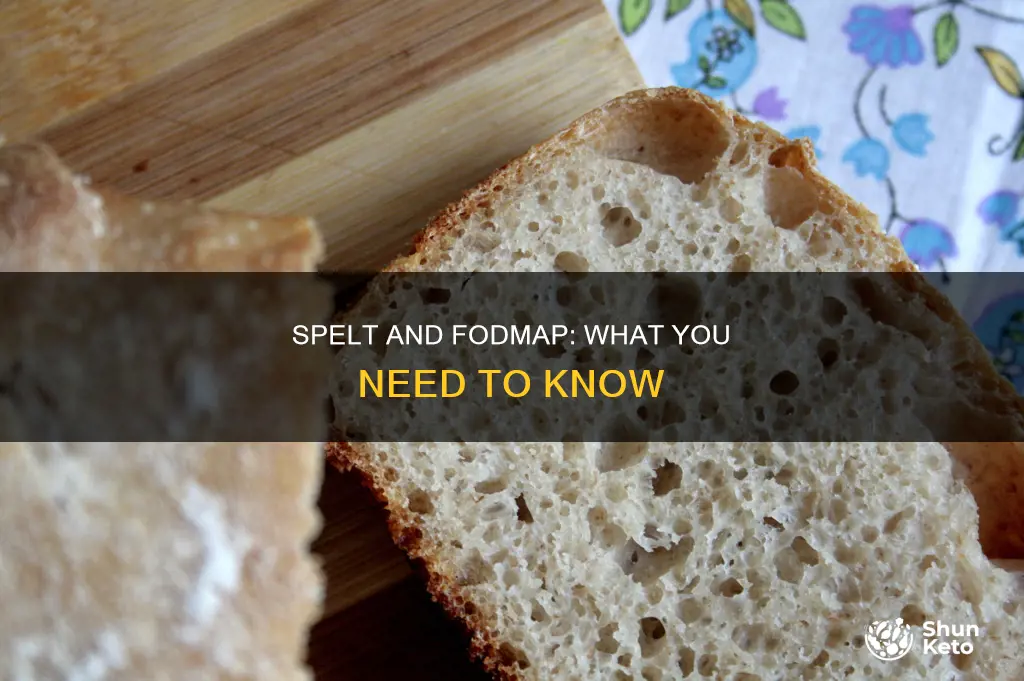 is spelt allowed on fodmap diet