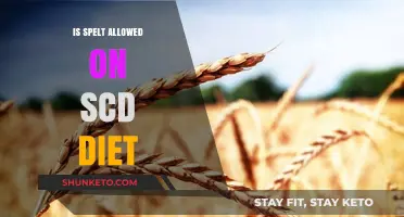 Spelt and SCD Diet: Is It Allowed?