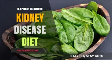 Spinach and Kidney Disease: A Safe Food Choice?