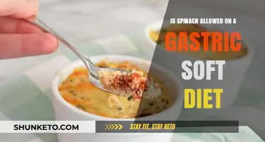 Spinach and Gastric Soft Diets: What You Need to Know