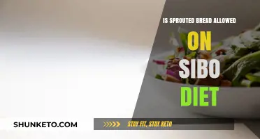 The Benefits of Sprouted Bread for SIBO Diets