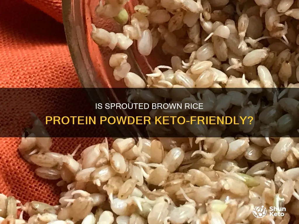 is sprouted brown rice protein powder keto