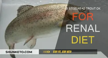 Steelhead Trout: A Renal Diet Superfood?
