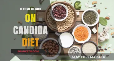 Stevia's Role in a Candida Diet: Safe or Not?