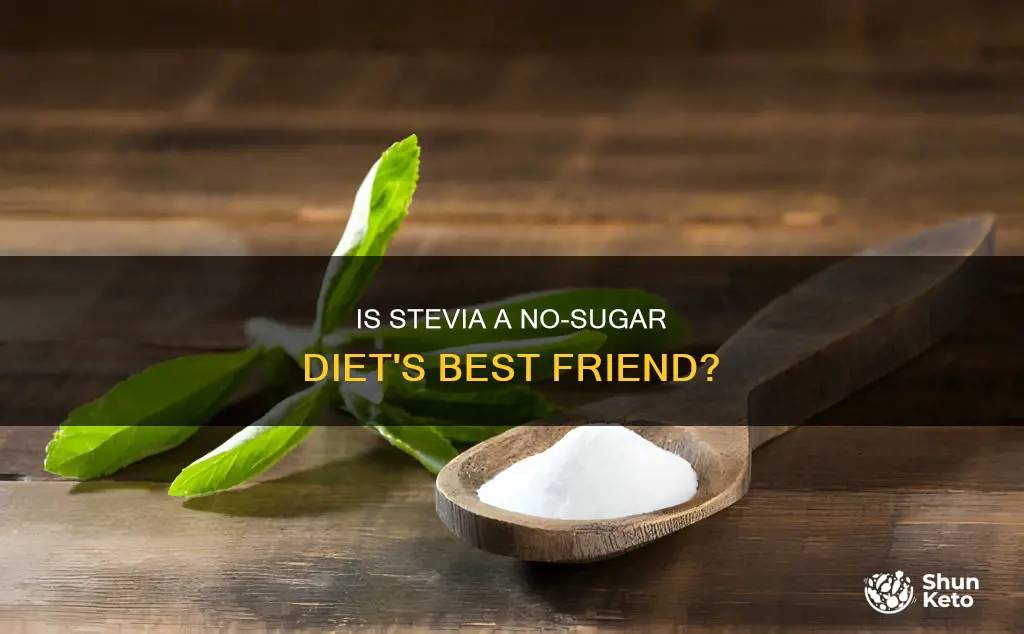 is stevia allowed on no sugar diet