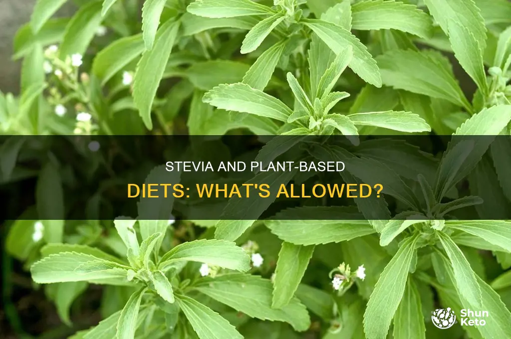 is stevia allowed on plant based diet