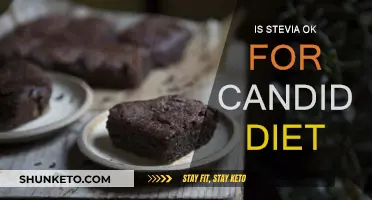 Stevia Sweetener: Friend or Foe in Candida Diet?