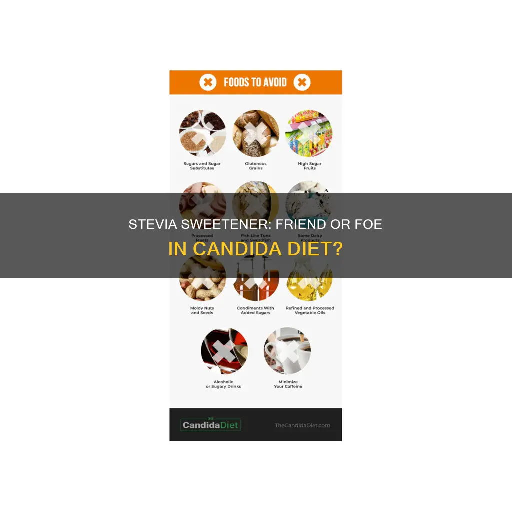 is stevia ok for candida diet