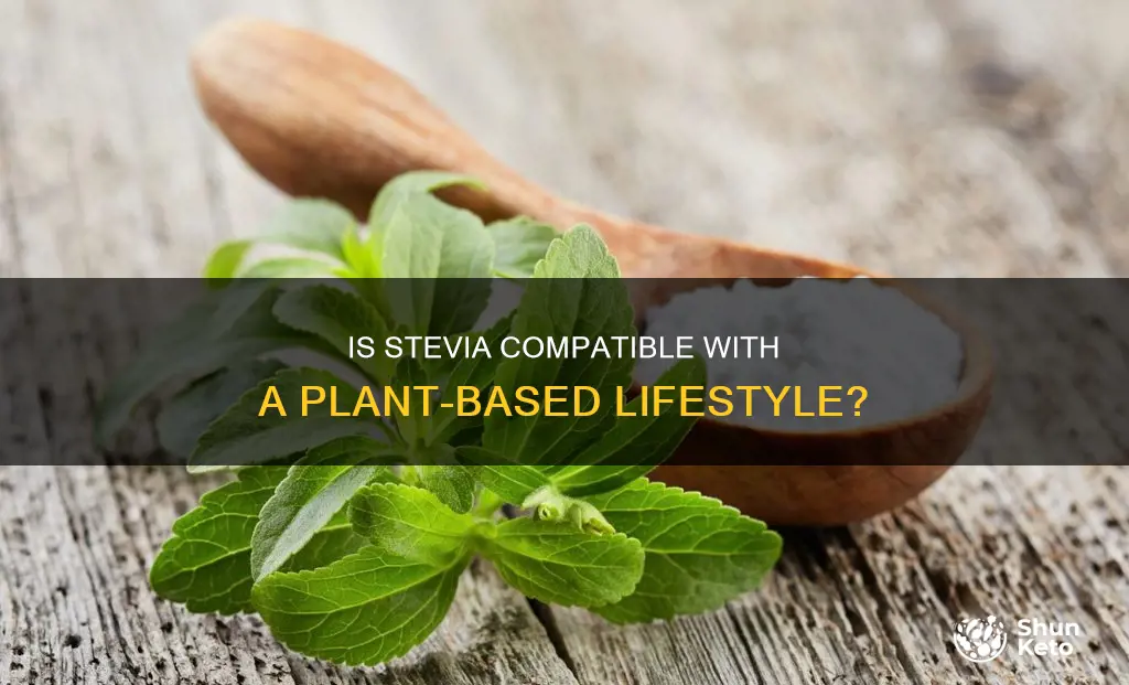 is stevia ok on a plant based diet