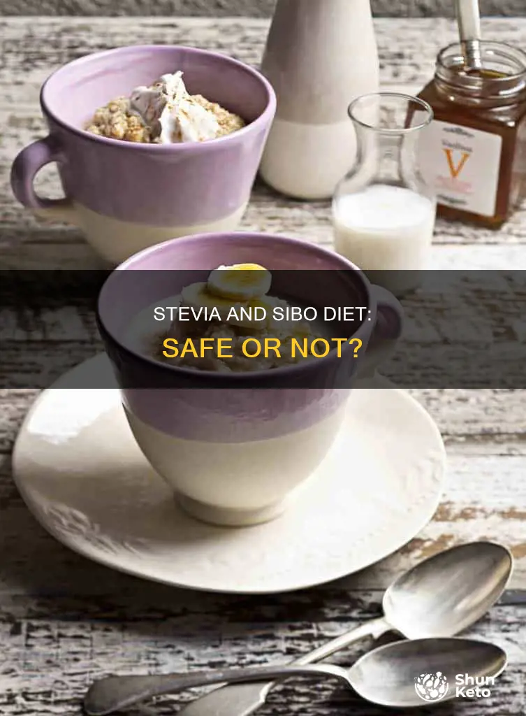 is stevia ok to use on a sibo diet