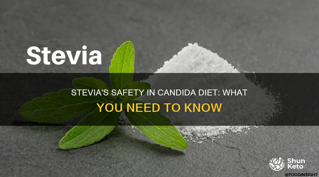 is stevia safe for candida diet