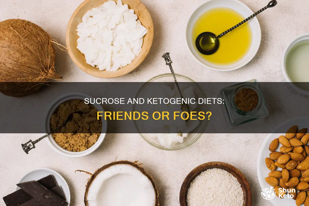is sucrose compatible with a ketogenic diet