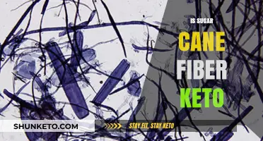 Is Sugar Cane Fiber Keto-Friendly? A Comprehensive Dietary Analysis