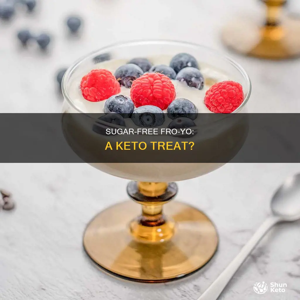 is sugar free frozen yogurt keto