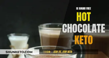 Sugar-Free Hot Chocolate: Keto-Friendly Comfort in a Mug