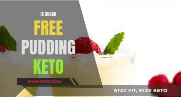 Sugar-Free Pudding: A Keto Treat?