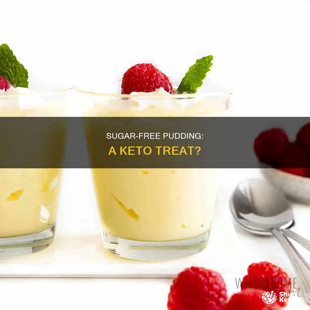 is sugar free pudding keto