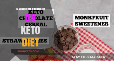 Can You Eat Sugar-Free Pudding on a Keto Diet? Find Out