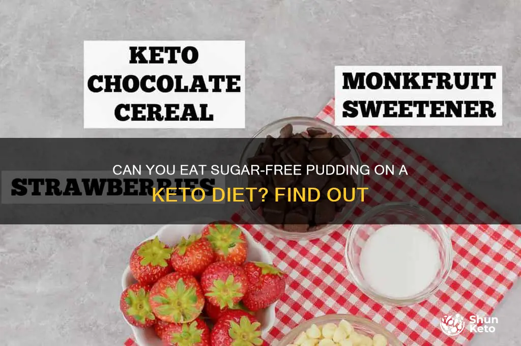 is sugar free pudding ok on keto diet