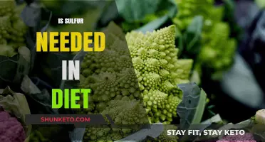 Sulfur in Diet: Essential or Not?