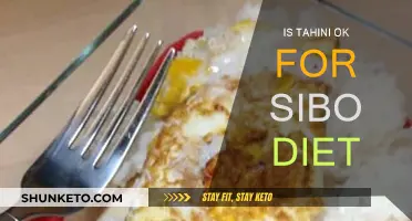 SIBO Diet: Is Tahini a Friend or Foe?