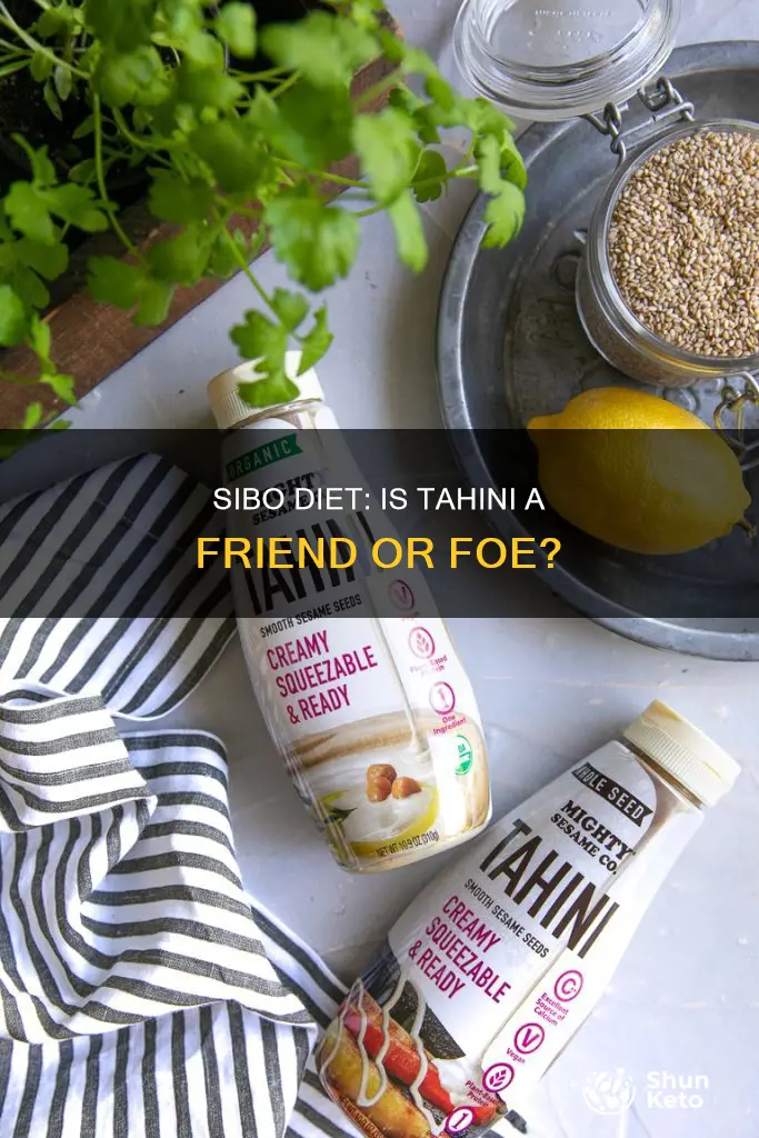 is tahini ok for sibo diet