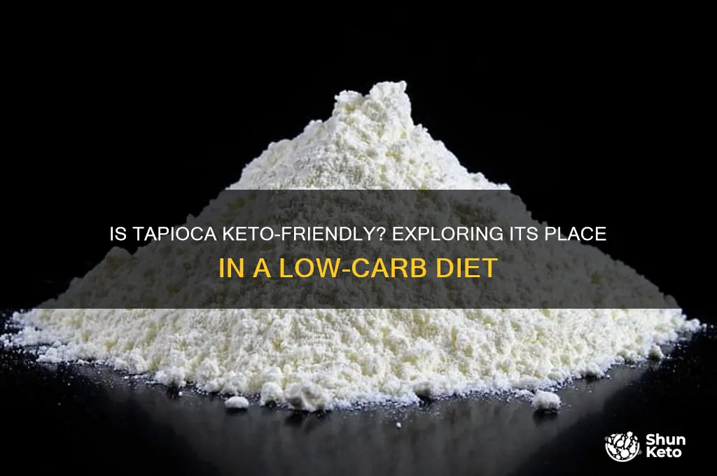 is tapioca allowed on keto diet