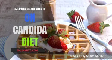 Tapioca Starch: Friend or Foe on a Candida Diet?
