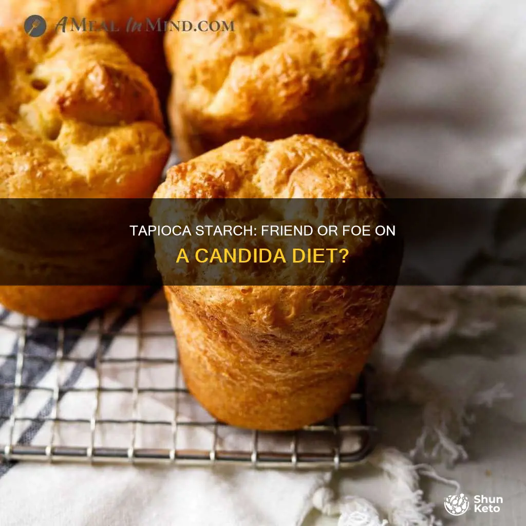 is tapioca starch allowed on candida diet