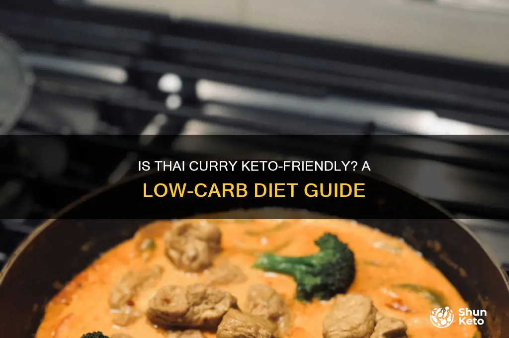 is thai curry keto