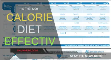 Calorie Counting: Effective Diet or Fad?