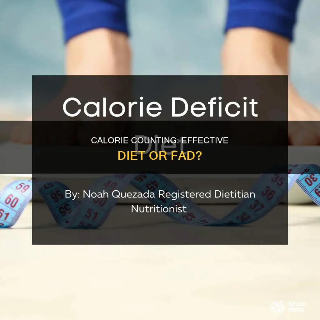 is the 1200 calorie diet effective